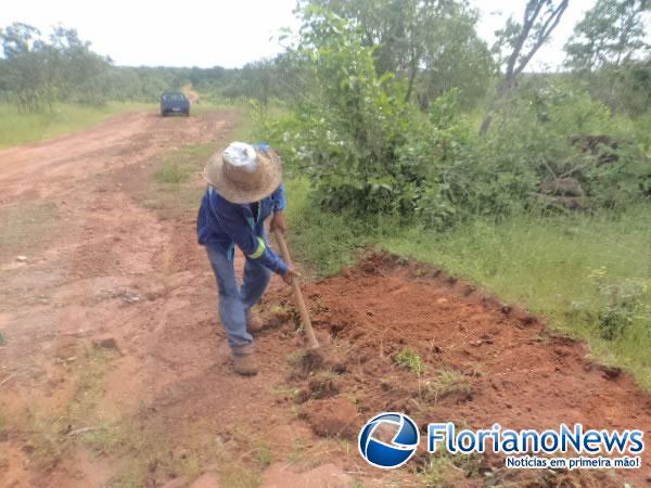 Moradores da localidade Bom Jardim tapam buracos em estrada.(Imagem:FlorianoNews)