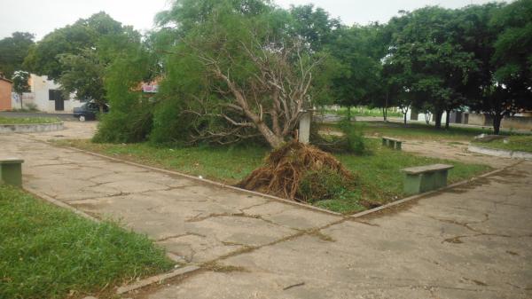 Forte ventania arrancou árvores e placas em Floriano.(Imagem:FlorianoNews)