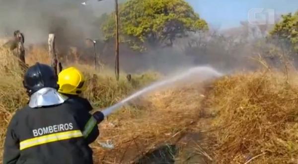 Incêndio em vegetação atinge acostamento da BR-230 no Sul do Piauí e preocupa condutores.(Imagem:Reprodução)