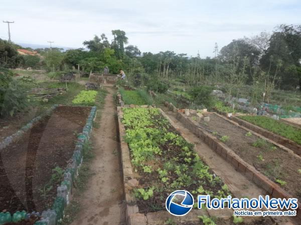Horticultores cobram providências para o problema da bomba na horta do bairro Alto da Cruz.(Imagem:FlorianoNews)