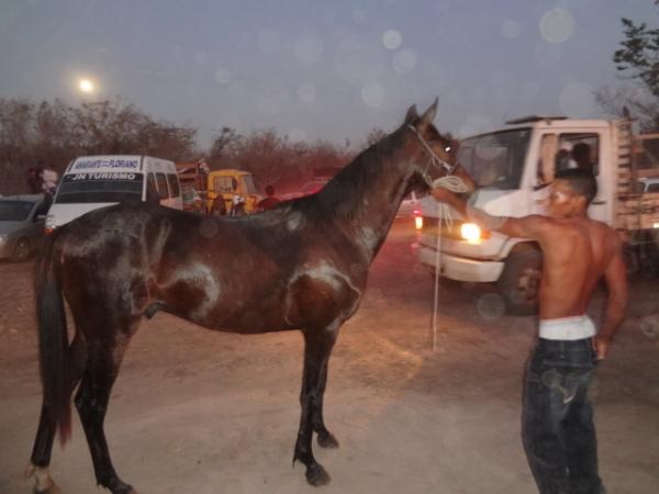 A cidade de Francisco Aires está de festejo.(Imagem:FlorianoNews)