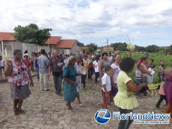 Procissões e missas marcaram o Domingo de Ramos em Floriano.(Imagem:FlorianoNews)