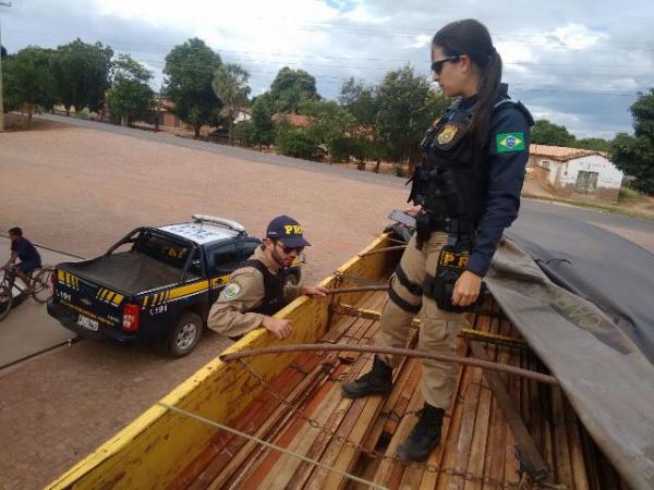 PRF encerra operação contra crimes ambientais no Piauí e Maranhão.(Imagem:PRF)