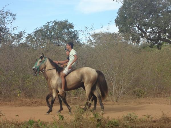 Corrida de cavalos marcou encerramento da festa do vaqueiro em Marcos Parente.(Imagem:FlorianoNews)