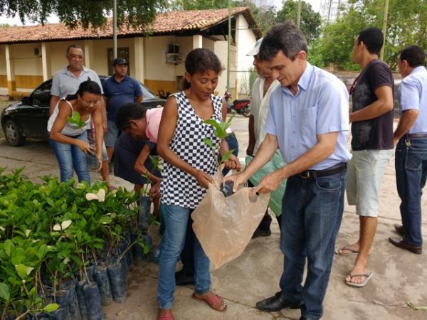SDR faz distribuição de mudas e sementes para agricultores familiares de Floriano.(Imagem:FlorianoNews)