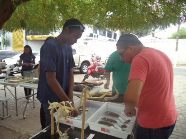 Acadêmicos da UFPI realizam exposição itinerante de Zoologia.(Imagem:FlorianoNews)