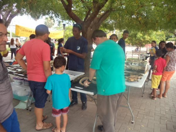 Acadêmicos da UFPI realizam exposição itinerante de Zoologia.(Imagem:FlorianoNews)