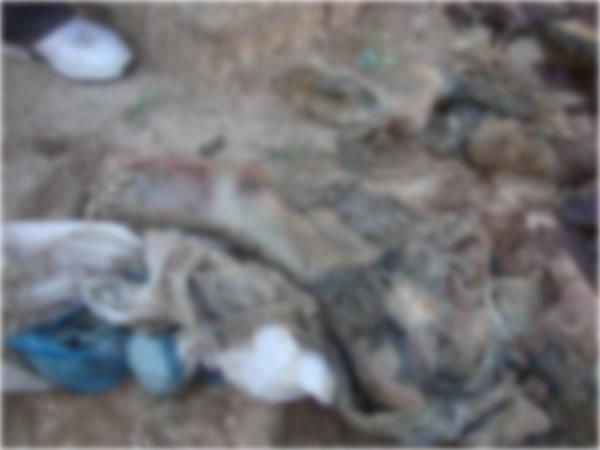 Restos mortais são encontrados no cemitério de Barão de Grajaú.(Imagem:FlorianoNews)