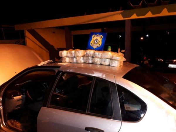 PRF: cães descobrem 28 kg de cocaína em fundo falso de veículo em Teresina.(Imagem:Cidadeverde.com)