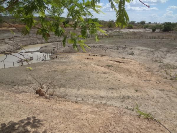 Seca mata animais na zona rural de Floriano.(Imagem:FlorianoNews)