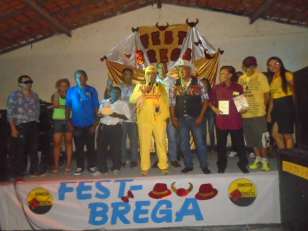 Com canções apaixonadas, Fest Brega agita noite de sábado em Floriano.(Imagem:FlorianoNews)