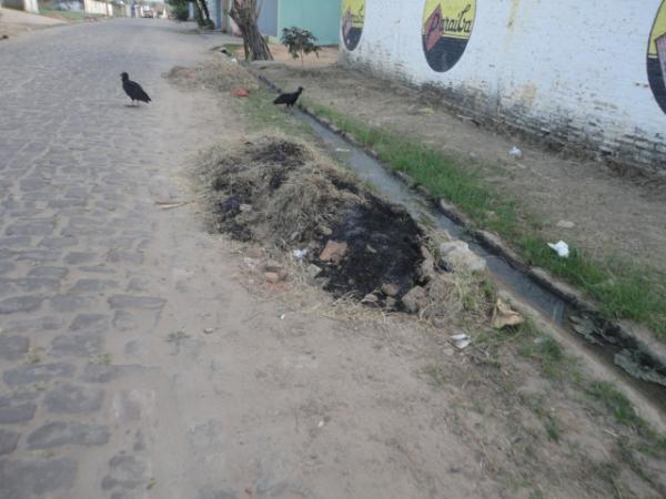 Lixo e sujeira nas ruas de Floriano.(Imagem: FlorianoNews)