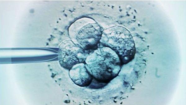 Mulheres estão congelando óvulos e embriões por medo da microcefalia.(Imagem:BBC)