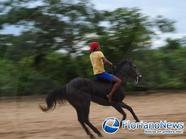 Vaquejada natalina agitou a tarde de sábado em Barão de Grajaú.(Imagem:FlorianoNews)