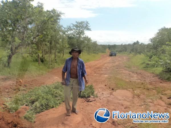 Moradores da localidade Bom Jardim tapam buracos em estrada.(Imagem:FlorianoNews)