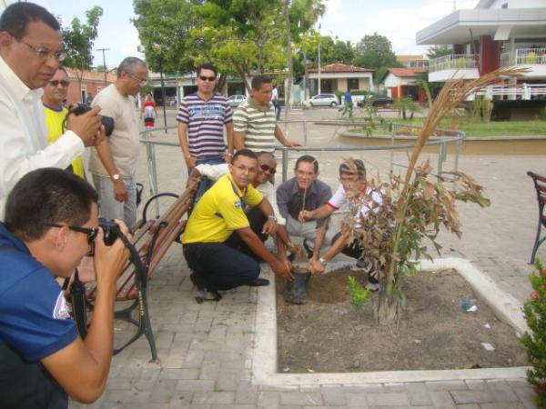 PLANTIO DE UMA ÁRVORES - CORREIOS E A PRESERVAÇÃO DO MEIO AMBIENTE(Imagem:REDAÇÃO)