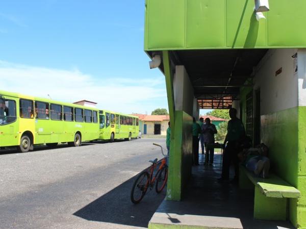 Ônibus ficaram parados em terminais durante protesto dos motoristas. (Imagem:Catarina Costa/G1 PI)