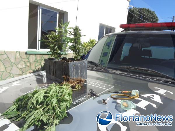 Força Tática prende acusado de latrocínio na zona rural de Floriano.(Imagem:FlorianoNews)