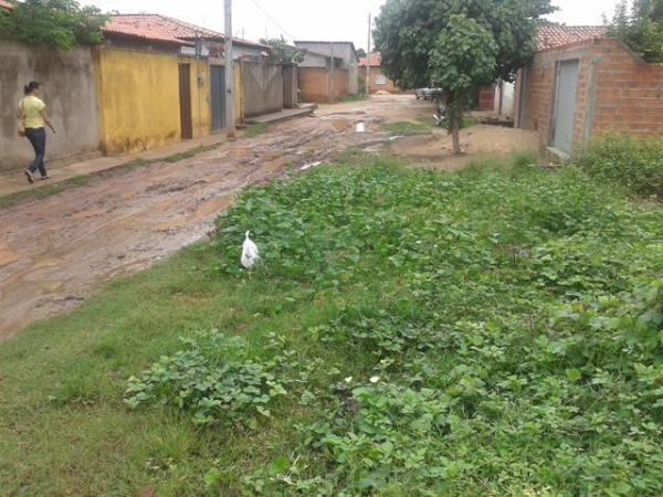 Morador do bairro Princesa do Sul volta a denunciar situação precária da Rua Dr. Paulo Martins.(Imagem:Robson Pires Borges)