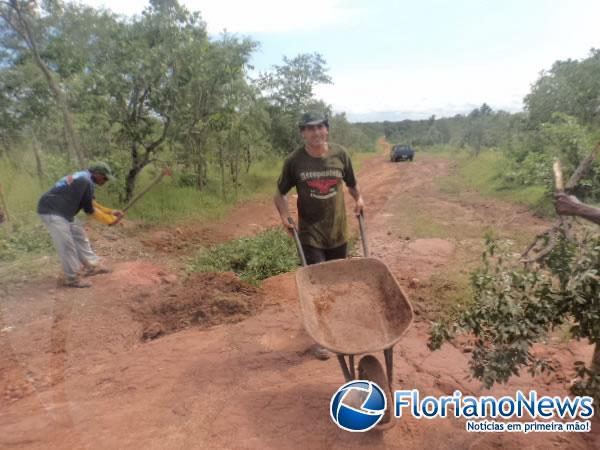 Moradores da localidade Bom Jardim tapam buracos em estrada.(Imagem:FlorianoNews)