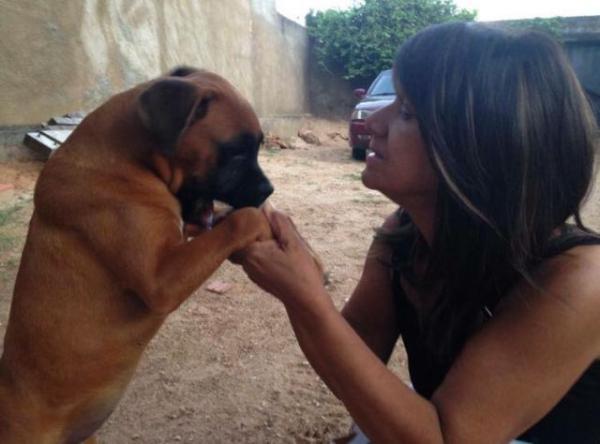 Cadela participa do velório de dona em Teresina e causa comoção.(Imagem:Arquivo Pessoal)