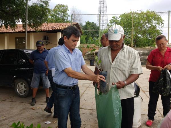 SDR faz distribuição de mudas e sementes para agricultores familiares de Floriano.(Imagem:FlorianoNews)