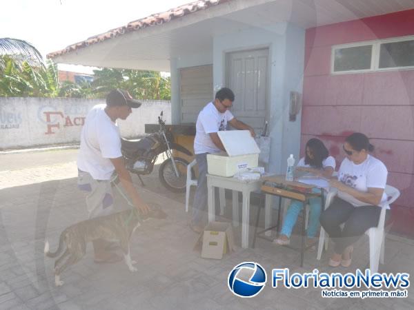 Cães e gatos são vacinados em Barão de Grajaú.(Imagem:FlorianoNews)