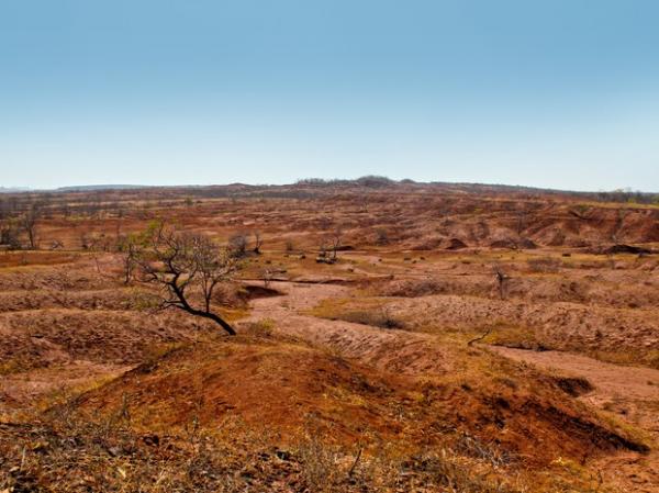 Processo foi intensificado quando come&ccedil;ou a explora&ccedil;&atilde;o da pecu&aacute;ria e agricultura.(Imagem:Pedro Santiago/G1)