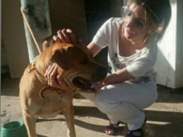 Cães foram soltos após ONG acionar a Polícia Ambiental.(Imagem:Arquivo Pessoal/Jéssica Almeida)