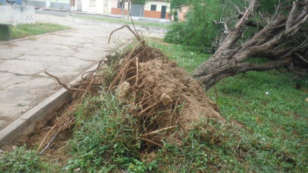 Forte ventania arrancou árvores e placas em Floriano.(Imagem:FlorianoNews)