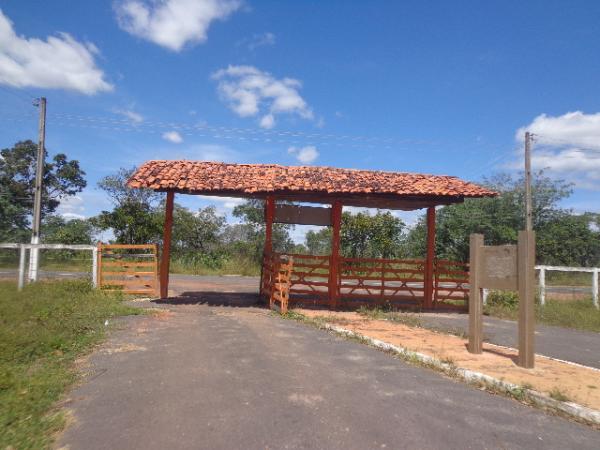 Parque de Exposições está sendo revitalizado para sediar 43ª Feira Agropecuária de Floriano.(Imagem:FlorianoNews)