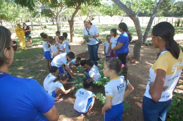 Os alunos conheceram as plantas que irão ornamentar praças e avenidas de Floriano.(Imagem:Waldemir Miranda)