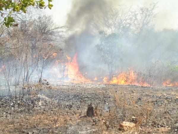 Incêndio deixa Floriano coberta por nuvem de fumaça.(Imagem:FlorianoNews)