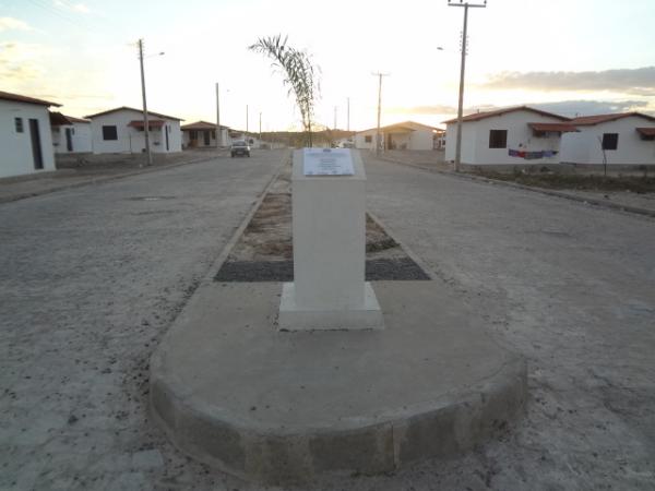 Dia do Meio Ambiente é marcado por plantio de mudas em Floriano.(Imagem:FlorianoNews)