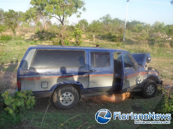 Animais invadem pista e causam acidente na BR-343 em Floriano.(Imagem:FlorianoNews)