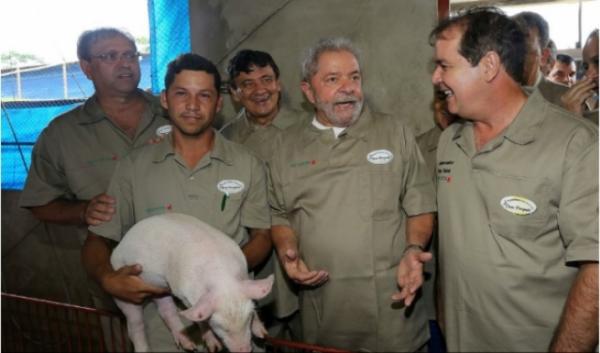 Wellington garante investimentos na área da suinocultura no PI.(Imagem:Agência de Notícias do Acre)