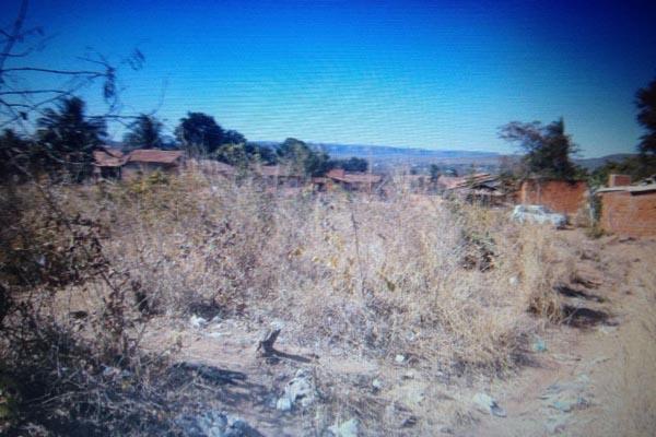 Terreno baldio fica a cerca de 200 metros da área residencial.(Imagem:Divulgação)