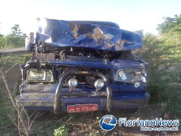 Animais invadem pista e causam acidente na BR-343 em Floriano.(Imagem:FlorianoNews)