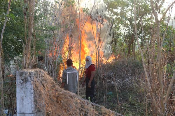 Incêndio em terreno baldio põe em risco central de gás de condomínio em Teresina.(Imagem:Rafaela Leal/G1)