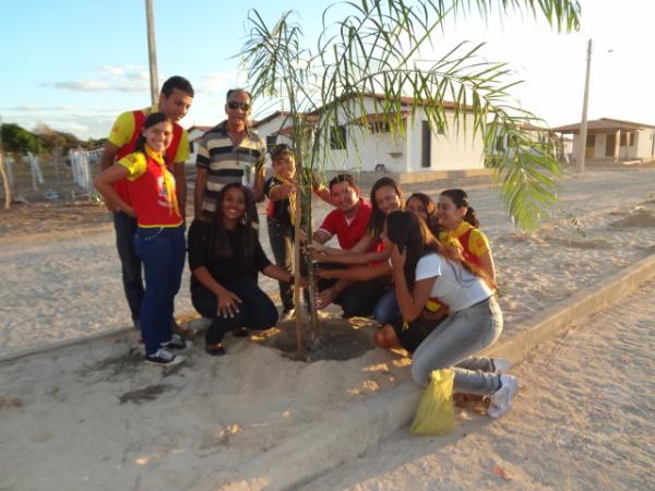 Dia do Meio Ambiente é marcado por plantio de mudas em Floriano.(Imagem:FlorianoNews)