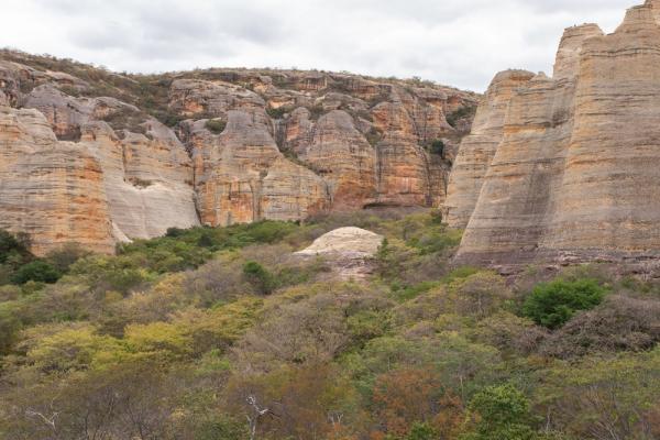 O Parque Nacional da Serra da Capivara(Imagem:Celso Tavares/G1)