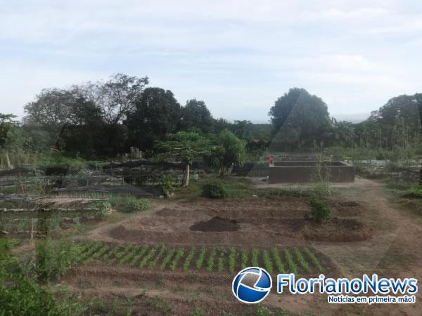 Horticultores cobram providências para o problema da bomba na horta do bairro Alto da Cruz.(Imagem:FlorianoNews)