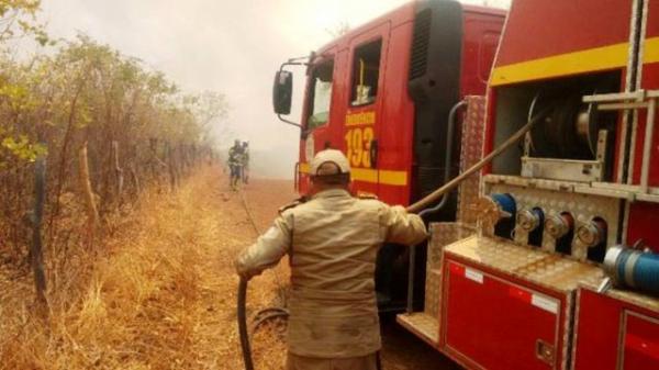Incêndio florestal já dura dois dias e atinge dois municípios do PI.(Imagem:Cidadeverde.com)