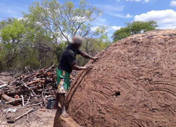 Trabalhadores da Bahia foram resgatados de carvoaria no Sul do Piauí(Imagem:Divulgação)