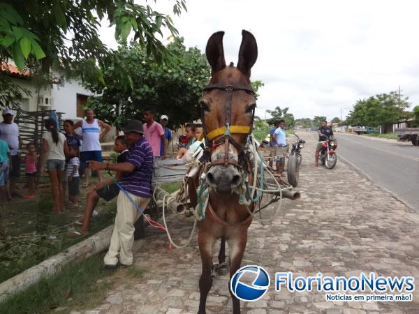 Festa dos Carroceiros atraiu dezenas de participantes em Nazaré do Piauí.(Imagem:FlorianoNews)