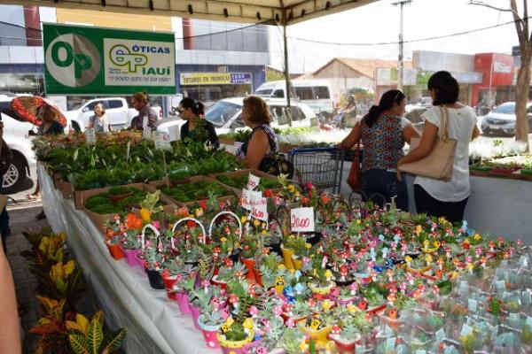 II Festival de Flores de Holambra é realizado em Floriano.(Imagem:Waldemir Miranda)