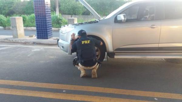 PRF prende homem que utilizava documento de veículo falso.(Imagem:PRF)