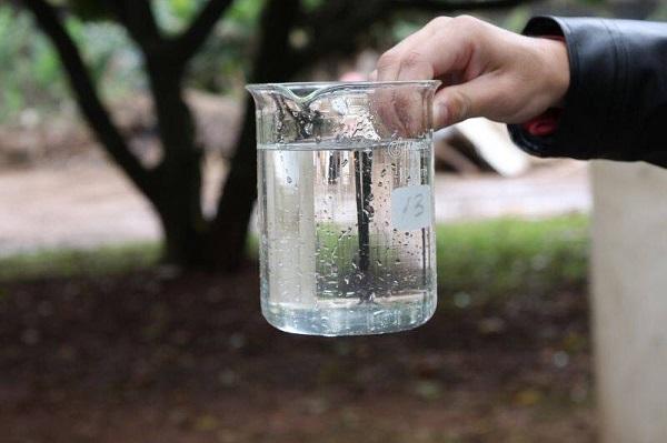 Centro de Zoonoses inicia trabalho de coleta e análise de água em Floriano.(Imagem:Reprodução)