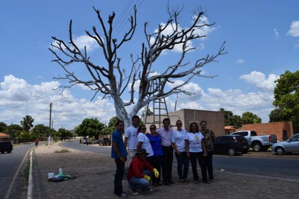 Projeto Abrace Floriano embeleza Anel Viário(Imagem:Secom)