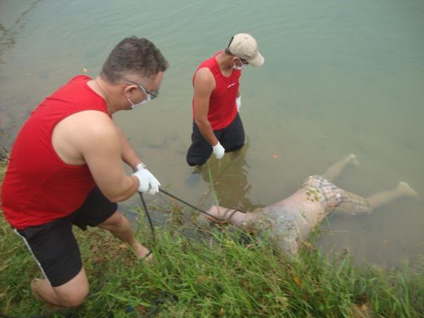 Corpo de jovem afogado no rio Parnaíba é encontrado por canoeiros.(Imagem:Agente 190/jc24horas)